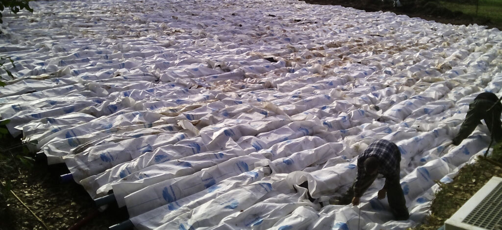 chantiers-installations-drains-drainotec15